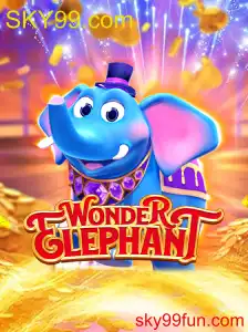 WonderElephant